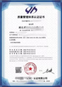 ISO13485 醫療器械質量管理體系認證